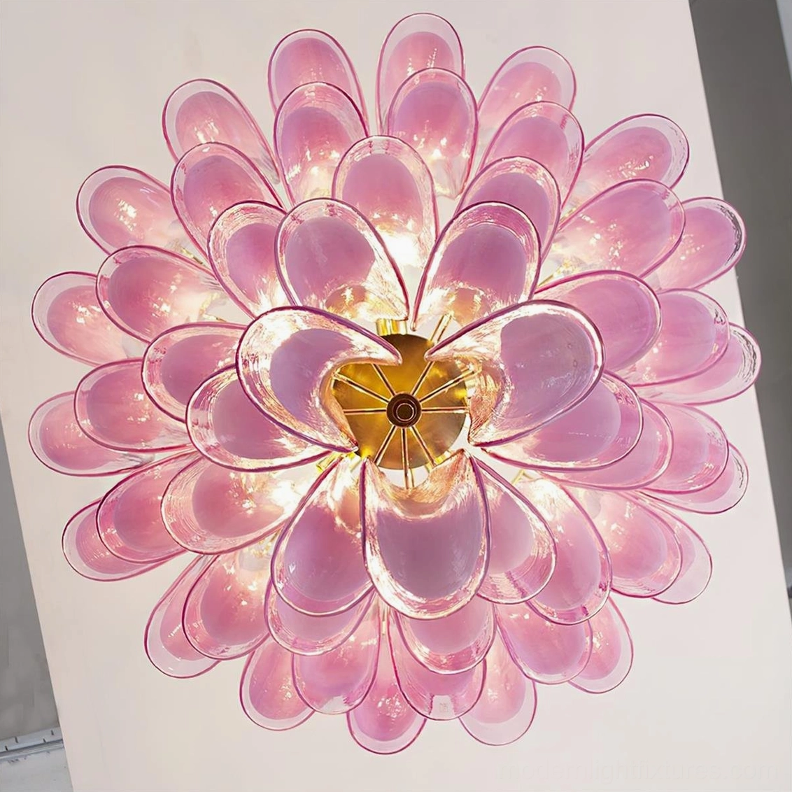 Full view of pink Murano glass tulip chandelier with brass metal frame suspended from adjustable chain, sculptural modern luxury pendant light