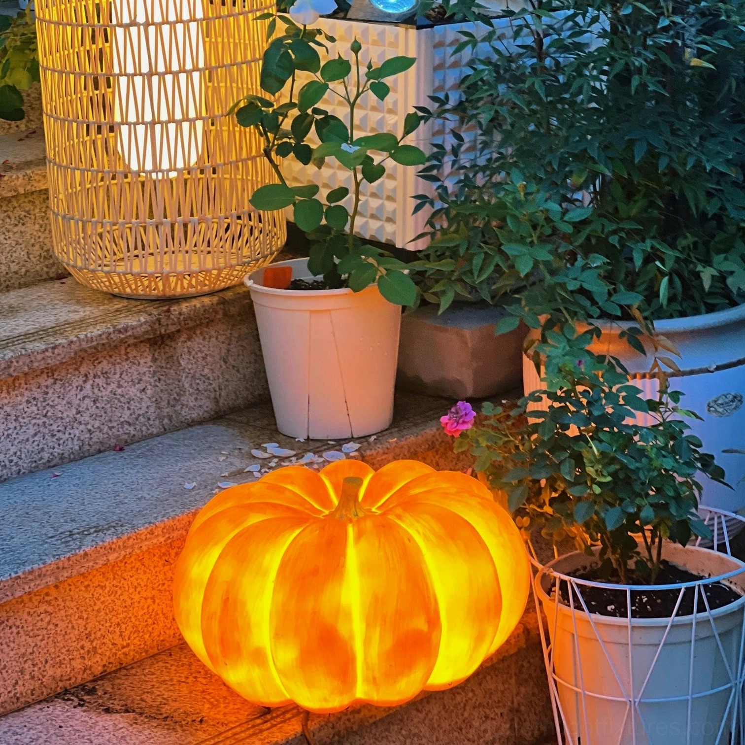 Glowing pumpkin garden lamp low angle stone stairway surrounded by potted plants landscaping