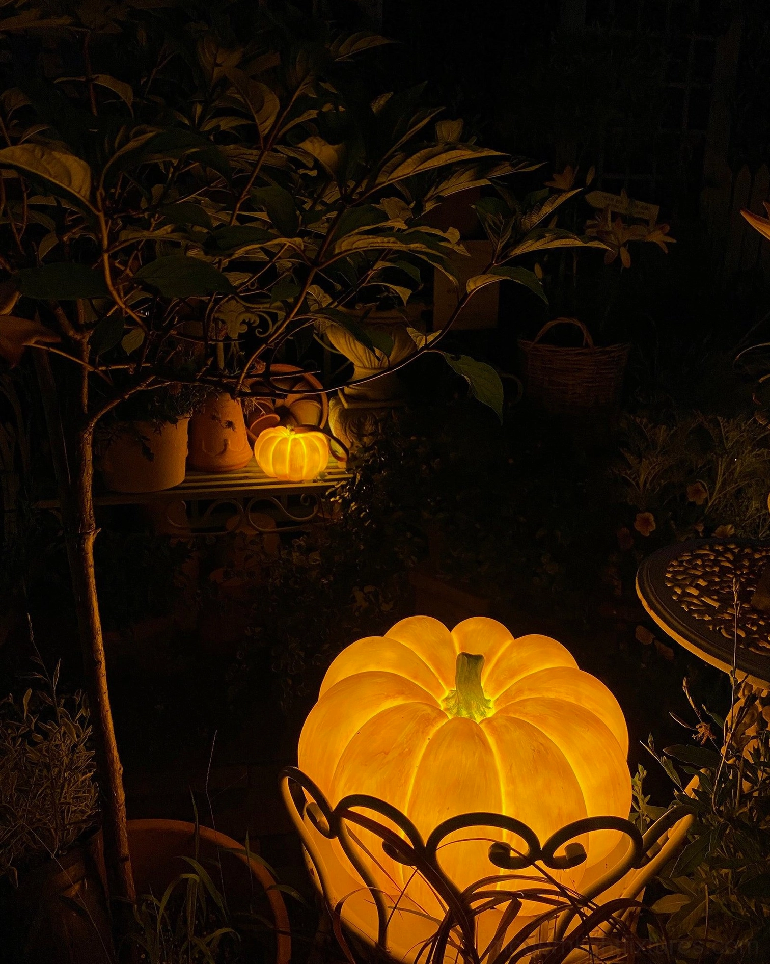 Pumpkin table lamp seasonal autumn harvest themed decoration fall styling