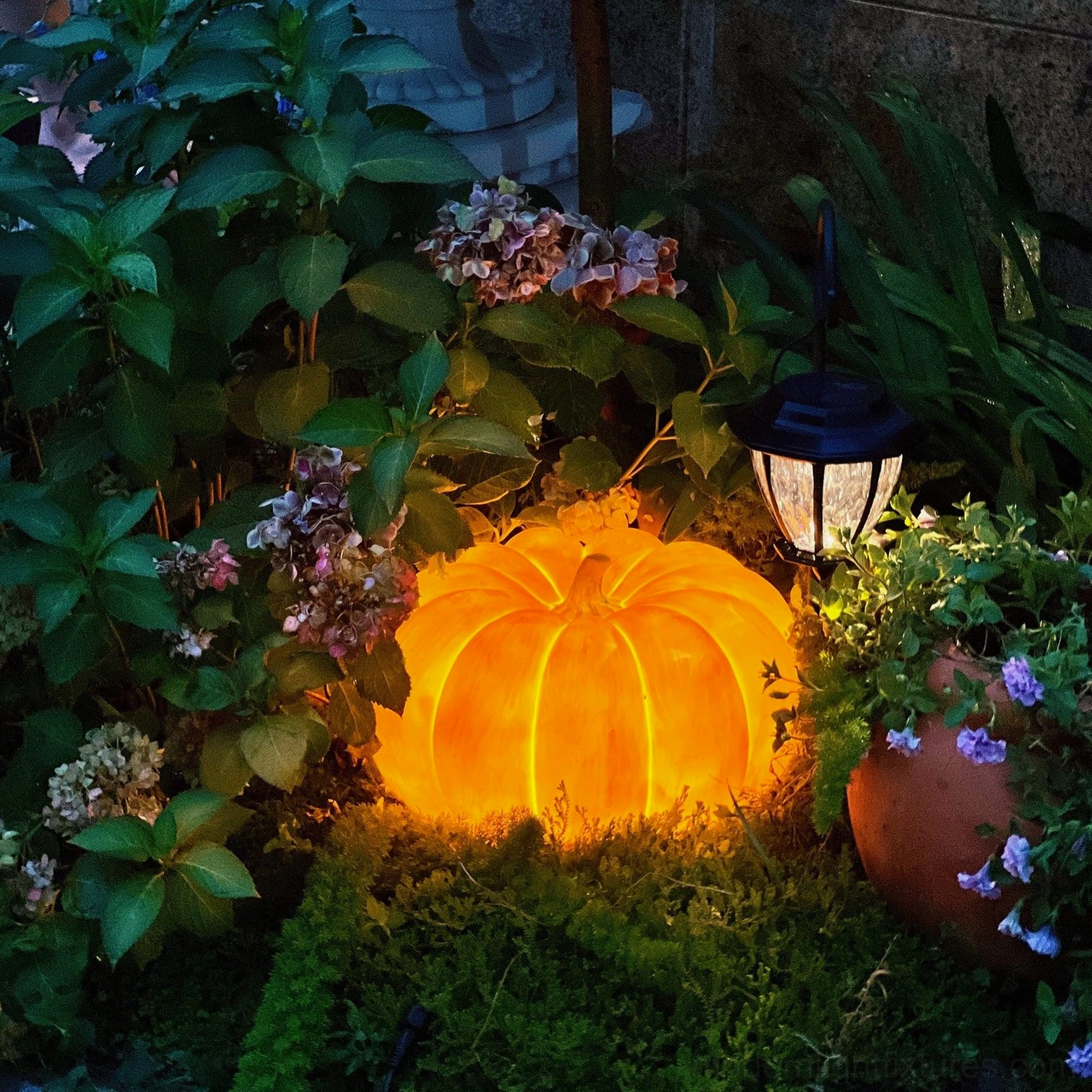 Sculptural pumpkin lamp natural wood furniture biophilic design elements