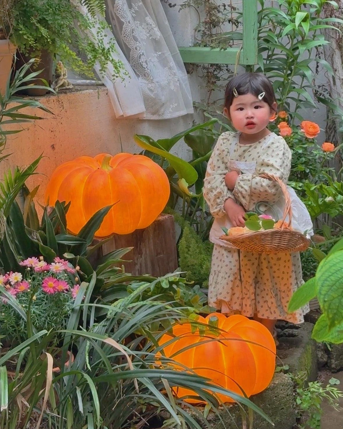 Pumpkin table lamp global certification North America Europe Australia standards