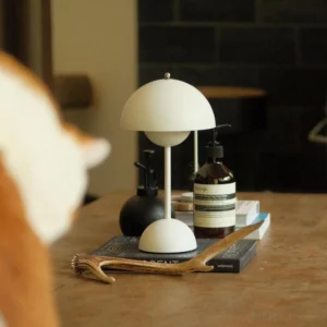 Modern rechargeable table lamp with touch control in matte white, three-quarter view on wooden surface with home decor styling