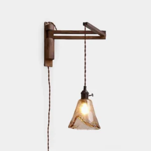 Rigale swing arm plug-in wall sconce front view with amber glass shade on white background