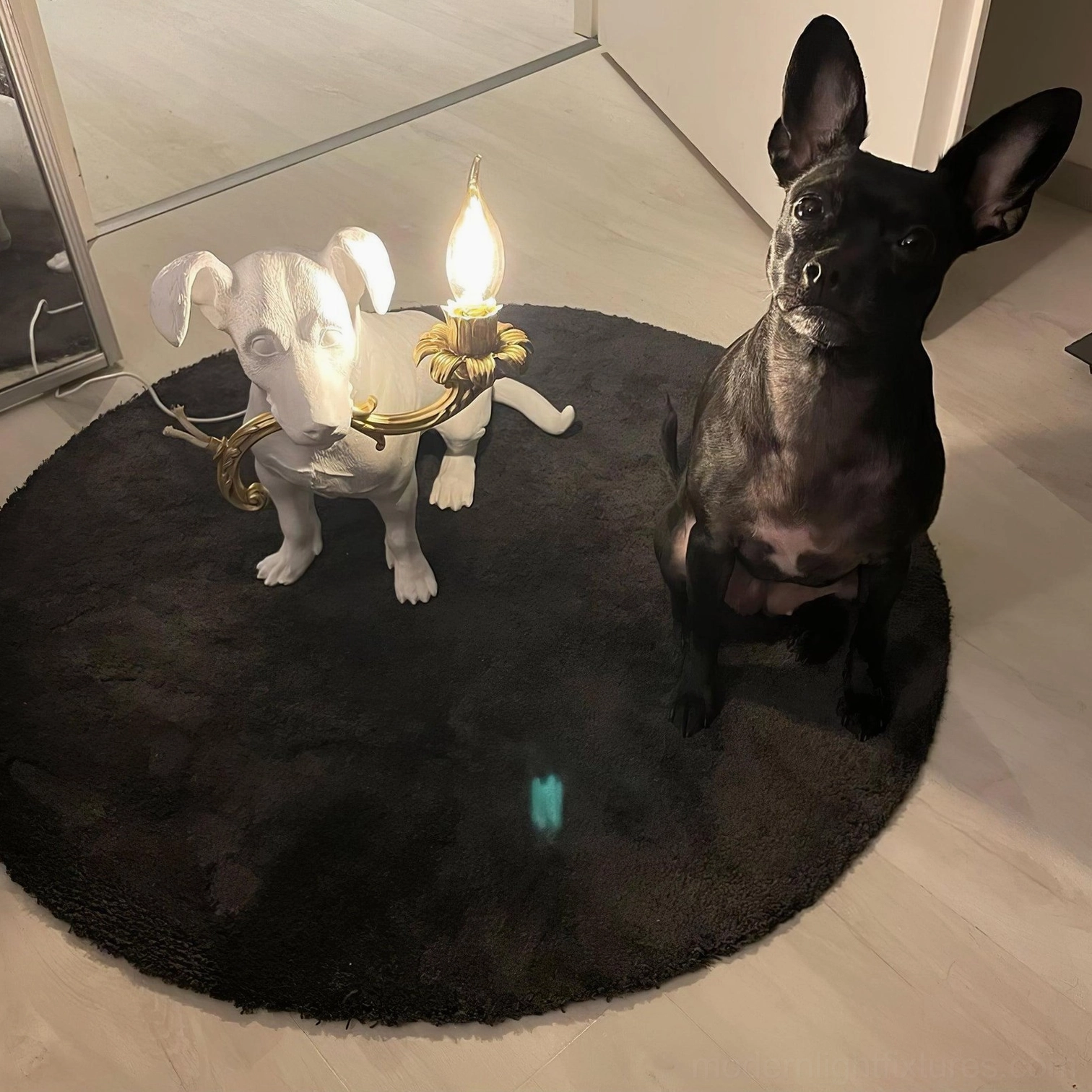 Rio dog table lamp modern fixture view, decorative dog light, contemporary resin table lamp artistic design