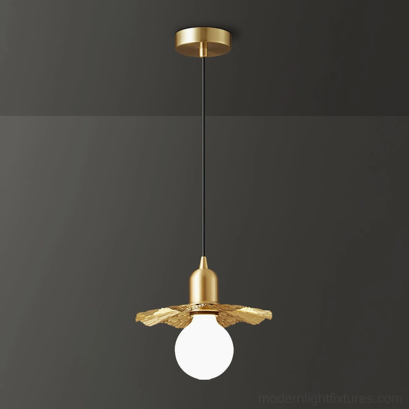 Rozeta brass pendant light Model C studio image, 18cm diameter compact design