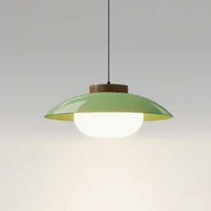 Minimalist saucer pendant lamp featuring wood cap detail and black suspension cord
