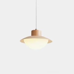 Modern Stevie single-head pendant light with wood frame and frosted white PE shade, studio product photography