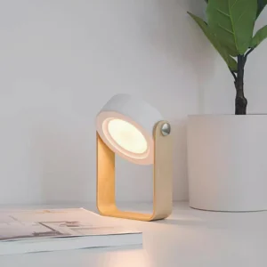 Terna Portable Table Lamp - Front oblique view styled on home office desk with potted plant and book