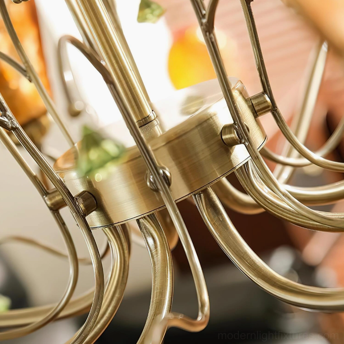 Vetraio chandelier botanical glass shades, close-up detail showing undulating tulip-like silhouettes and amber glass craftsmanship