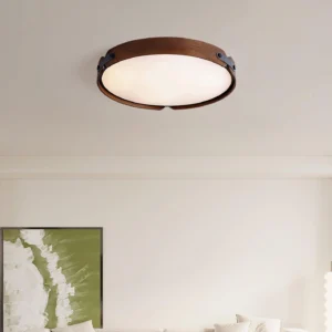 Warm white LED ceiling light from below showing frosted acrylic diffuser and wood canopy