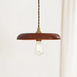 Three-quarter view of wood disc pendant lamp showing twisted brown fabric cord and polished brass socket