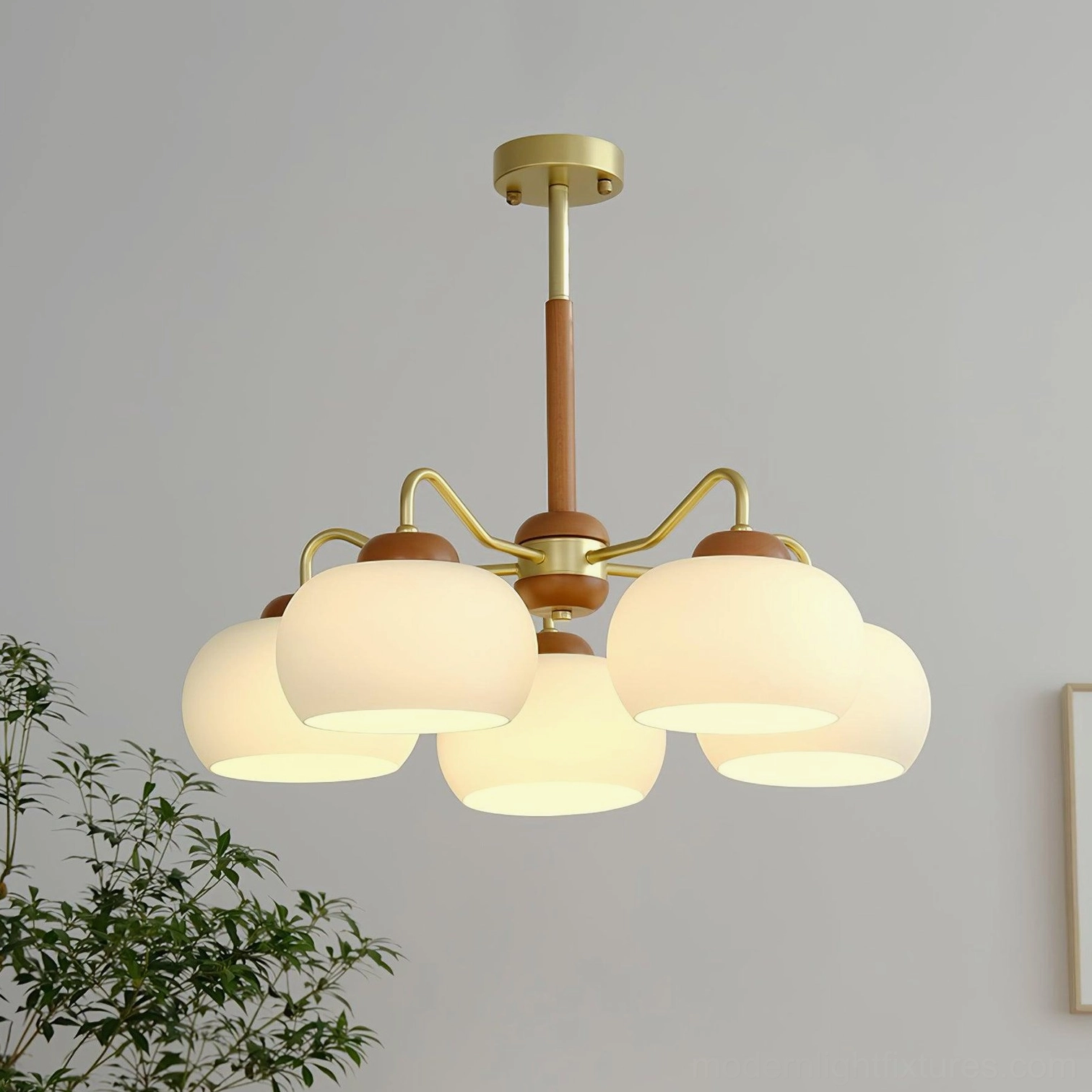 Modern pendant chandelier with warm lighting in home interior with green plants, showing brass hardware and frosted glass details