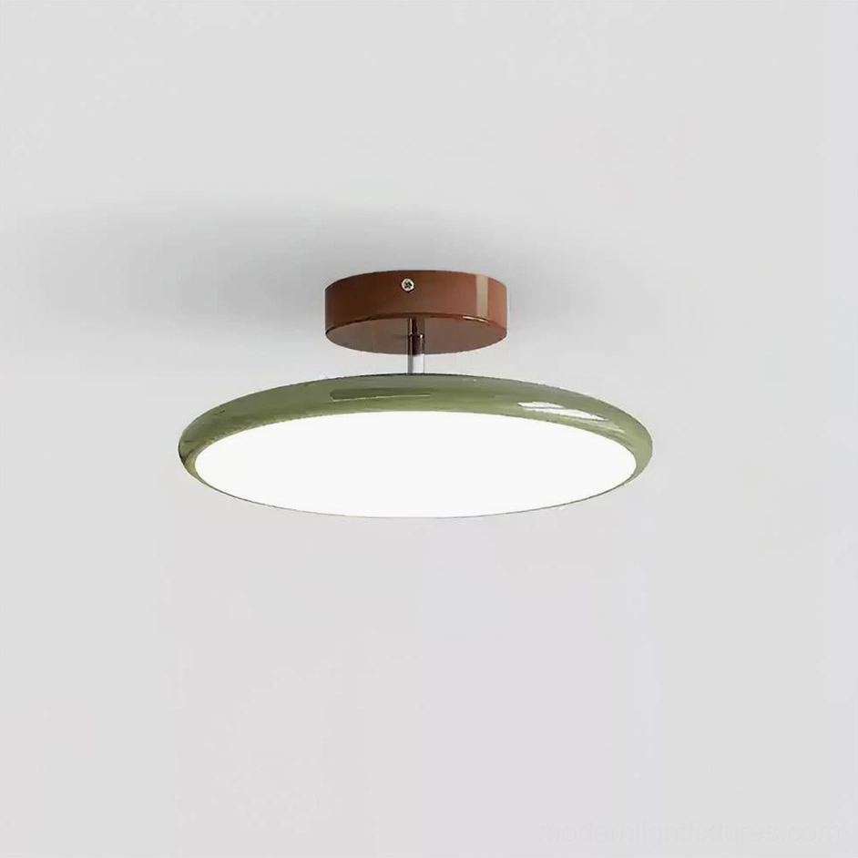 Zayn 30cm ceiling lamp with sage green acrylic disc, 3000K warm LED, compact 9cm flush profile installation