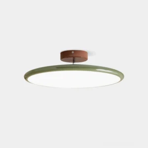 Zayn modern flush mount ceiling light with sage green acrylic disc and brown metal canopy, front studio view on white background